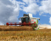 Harvesting oilseed rape, Yorkshire, UK.